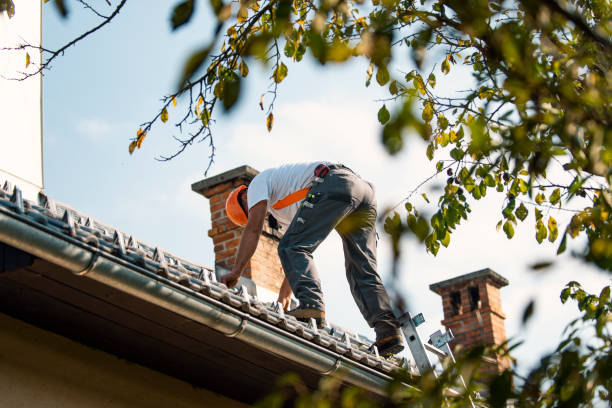 Best New Roof Installation  in Metzger, OR